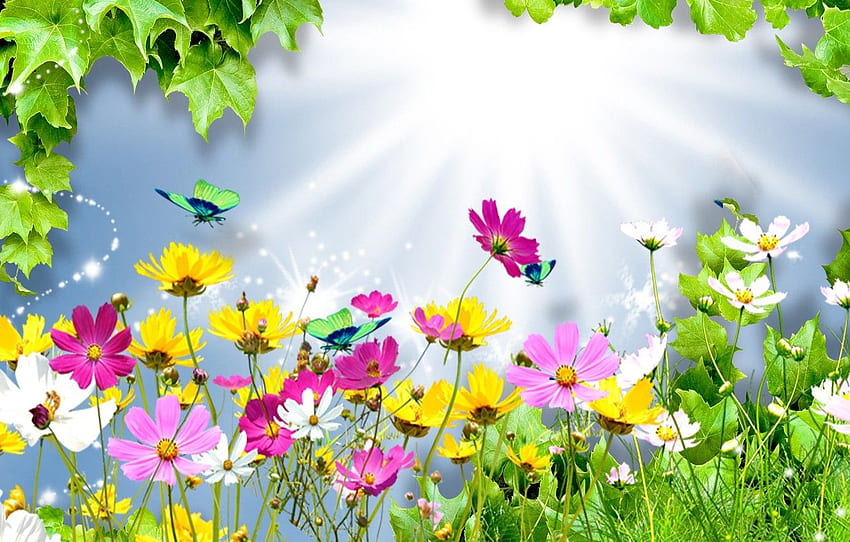 summer, leaves, rays, light, flowers, collage, butterfly, kosmeya for , section ÑÐ°Ð·Ð½Ð¾Ðµ HD wallpaper
